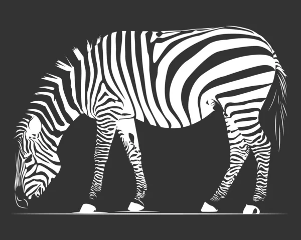 Zebra siyah beyaz simge siluhoette