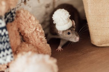 fare fare yeni yıl sembolü