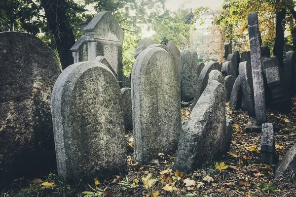 Cemetery Scenery Golden Autumn Leaves — Stock Photo, Image