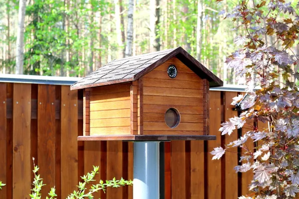 Sledovací Kamera Instalovaná Birdhouse Pro Tajné Sledování Bezpečnost Venkovského Domu — Stock fotografie
