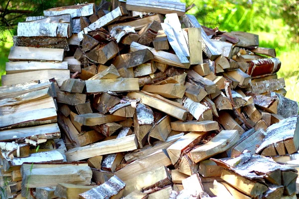 Birch Firewood Background Green Leaves — Stock Photo, Image