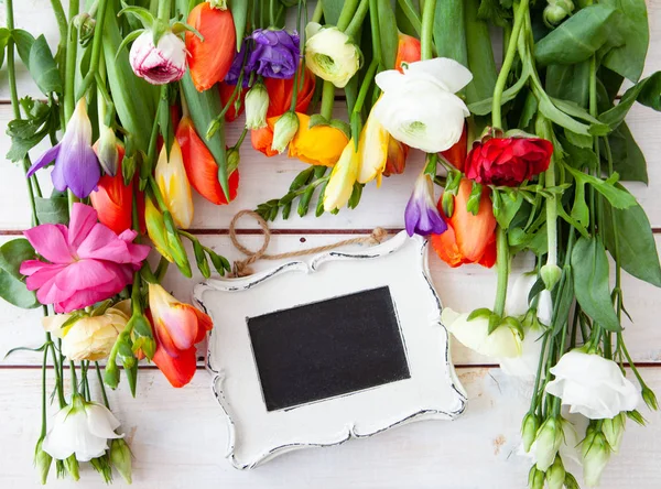 Kleurrijke Lentebloemen — Stockfoto