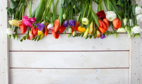 Kleurrijke Lentebloemen — Stockfoto