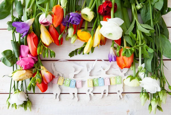 Kleurrijke Lentebloemen — Stockfoto