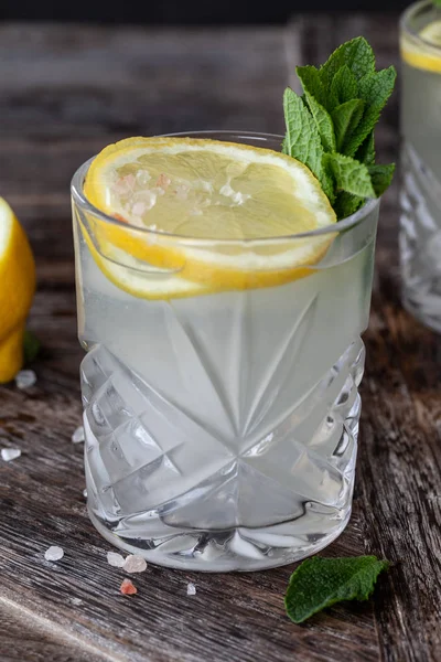 Gin tonic met verse citroen — Stockfoto