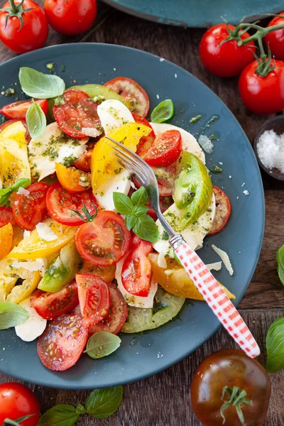 Salada Caprese Colorida Feita Tomate Fresco Queijo Mussarela — Fotografia de Stock