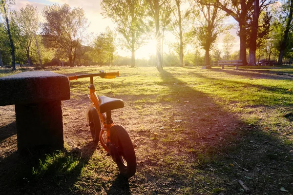 Vélo Sans Pédales Reposant Sur Banc Parc Coucher Soleil — Photo