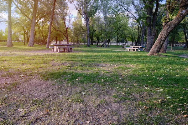 Stenbord Och Bänkar Mellan Vackra Träd Parken Madrid Spanien — Stockfoto