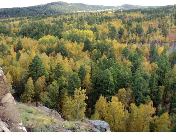 Trans-Baykal topraklarının altın sonbahar doğa