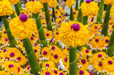 Sarı çiçek ibadet töreni için hazırlanıyor