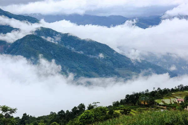 Montagna Nube Sapa Famoso Viaggio Vietnam — Foto Stock