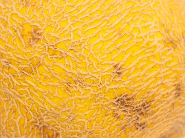 Sarı kavun yakın. Makro doku. Arka plan için fotoğraf, metin için bir yer var.