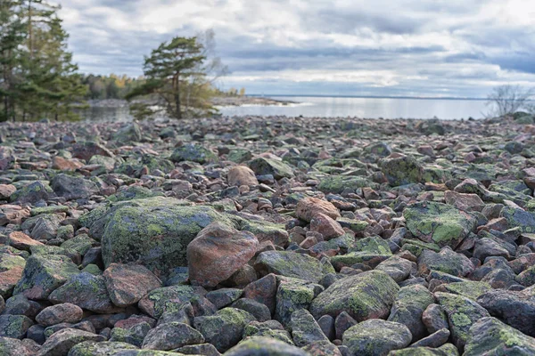 Βραχώδης Ακτή Της Βαλτικής Θάλασσας Ostersjon Φωτογραφία Σκανδιναβικής Φύσης Σουηδική — Φωτογραφία Αρχείου