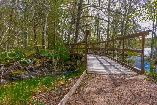 Drewniany Szlak Wiosnę Zdjęcie Skandynawskiej Natury Szwedzki Las Park Narodowy — Zdjęcie stockowe