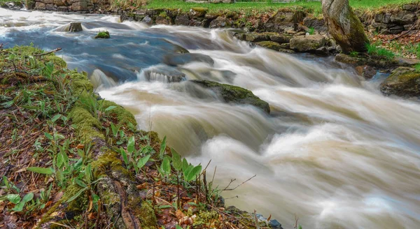 Beek Lente Foto Van Scandinavische Natuur — Stockfoto