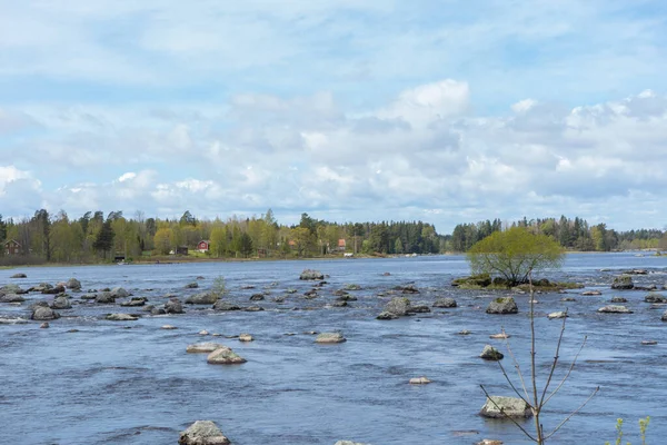 Delta Rzeki Dalalven Południowej Części Kraju Wiosna Szwecji Krajobraz Skandynawski — Zdjęcie stockowe