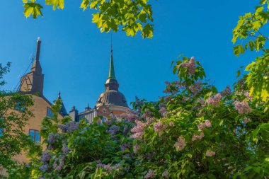 Stockholm 'deki eski evler. Sodermalm bölgesi. Leylak çalısı manzaralı. İsveç. İskandinavya.