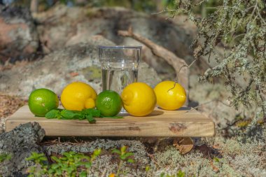 Yaz içecekleri. İskandinav doğasının arka planında bir bardak su, limon, limon ve nane. Farklı su damlaları kombinasyonları. İsveç