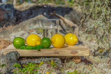 Yaz içecekleri. İskandinav doğasının arka planında bir bardak su, limon, limon ve nane. Farklı su damlaları kombinasyonları. İsveç
