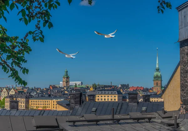 Uitzicht Stockholm Vanaf Wijk Sodermalm Panorama Van Oude Stad Gamla — Stockfoto