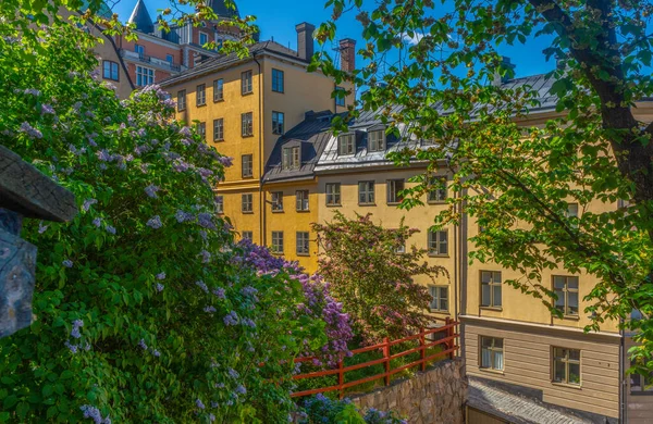 Alte Häuser Stockholm Bezirk Sodermalm Blick Auf Den Fliederbusch Schweden — Stockfoto