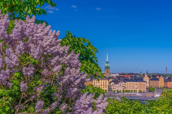 Uitzicht Stockholm Vanaf Wijk Sodermalm Panorama Van Oude Stad Gamla — Stockfoto