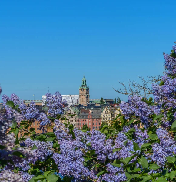 View Stockholm Sodermalm District Panorama Old Town Gamla Stan Panorama — Stock Photo, Image