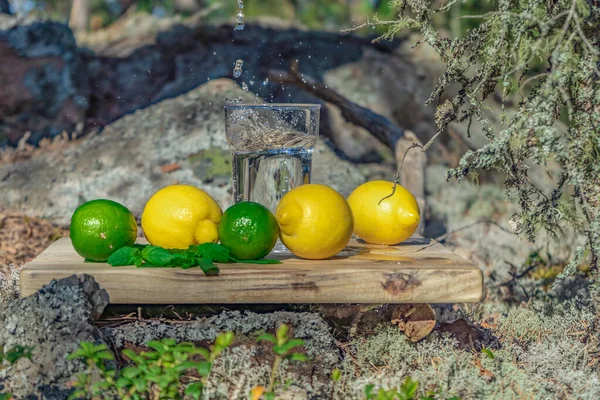 Yaz içecekleri. İskandinav doğasının arka planında bir bardak su, limon, limon ve nane. Farklı su damlaları kombinasyonları. İsveç