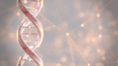 DNA yapısı genetik materyal