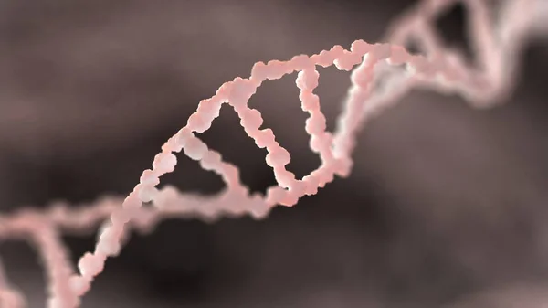 Dna構造遺伝物質 — ストック写真