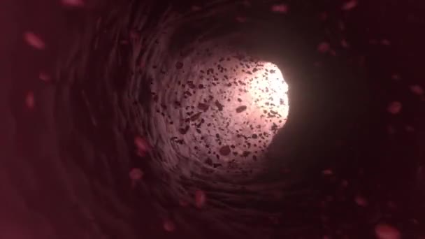 Glóbulos Rojos Dentro Los Vasos Sanguíneos — Vídeos de Stock