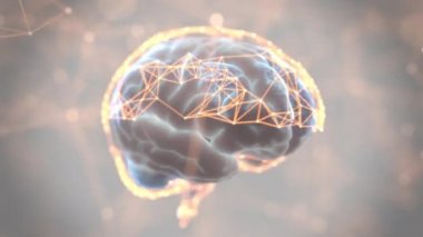 Beyin dijital tarama döngüsü