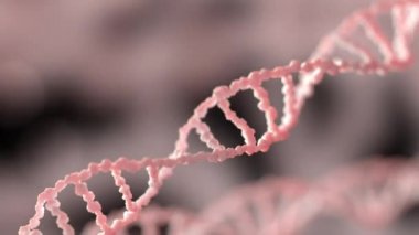 Genetik malzemenin DNA 'sı
