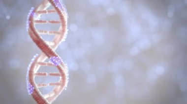 DNA genetik malzeme 360 (çerçeveler) pikap Loop