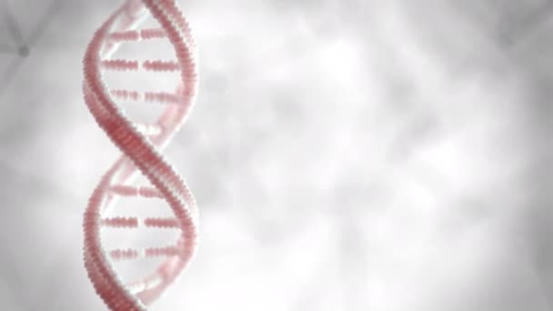 Днк Генетичний Матеріал 360 Рамки Поворотна Петля — стокове відео