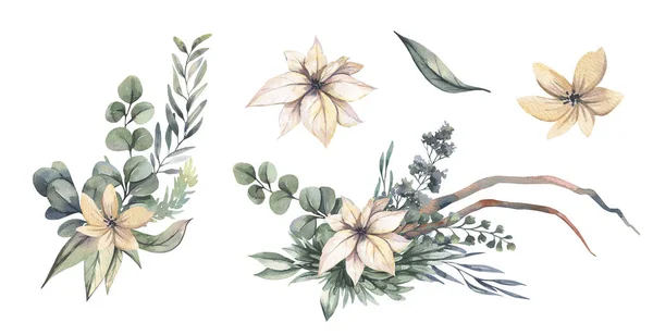 Υδατογραφία floral illustration - μπουκέτο με μπεζ λουλούδια, πράσινα φύλλα για το γάμο στατικό, χαιρετισμούς, ταπετσαρίες, μόδα, υπόβαθρα. — Φωτογραφία Αρχείου