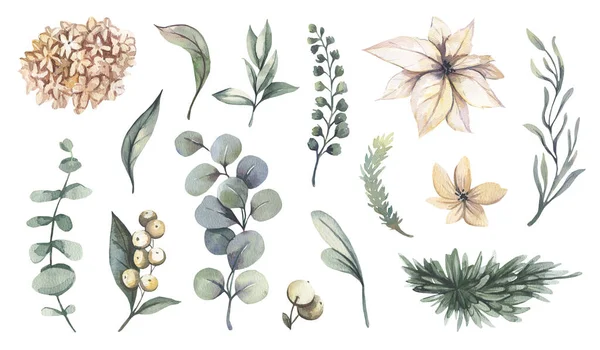 Akvarel květinové ilustrace - sbírka květin, zelené listy pro svatební stacionární, pozdravy, tapety, móda, zázemí. — Stock fotografie