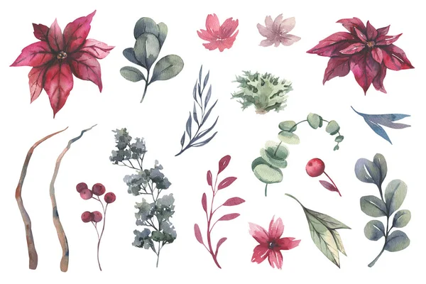 Acuarelă ilustrație florală - colecție de flori, frunze verzi pentru staționare de nuntă, salutări, imagini de fundal, modă, fundaluri . — Fotografie, imagine de stoc