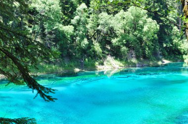 Mavi-Yeşil Göl Jiuzhaigou, Sichuan, Çin
