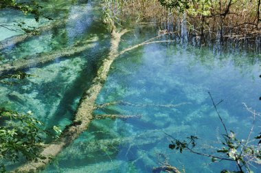 Mavi-Yeşil Göl Jiuzhaigou, Sichuan, Çin