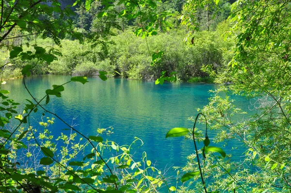 Mavi Yeşil Göl Jiuzhaigou Sichuan Çin — Stok fotoğraf