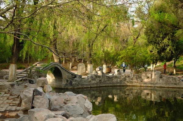 Vijver Gewelfde Brug Willows Lanzhou Universiteit Gansu China — Stockfoto