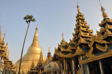 Myanmar'da Shwedagon Pagoda ve Yangon tapınakları