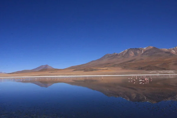 Salar de Uyuni, amid the Andes in southwest Bolivia — Stock Photo, Image