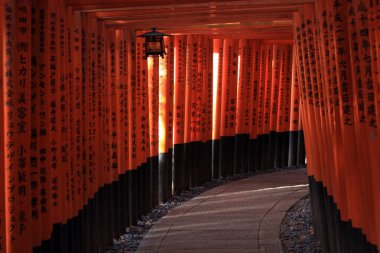 Fushimi Inari taisha thousand shrines in Kyoto Japan clipart