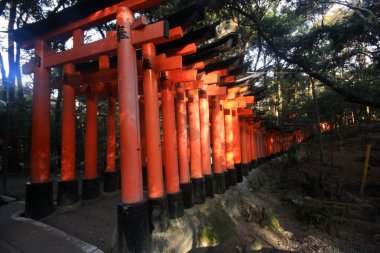 Kyoto Japonya Fushimi Inari taisha bin türbeler