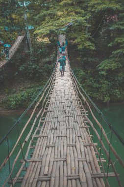 Bohol jungle, tarsier and chocolate hills, in Cebu, Philippines clipart