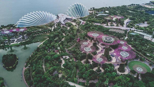 View of Marina Bay and center Singapore from above — стоковое фото