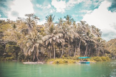 Bohol orman, katran ve çikolata tepeler, Cebu, Filipinler