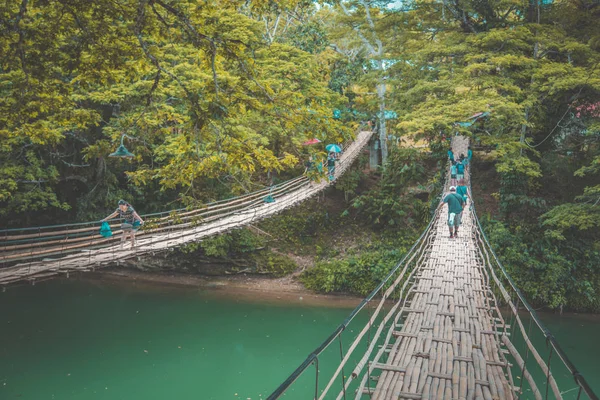 Bohol orman, katran ve çikolata tepeler, Cebu, Filipinler